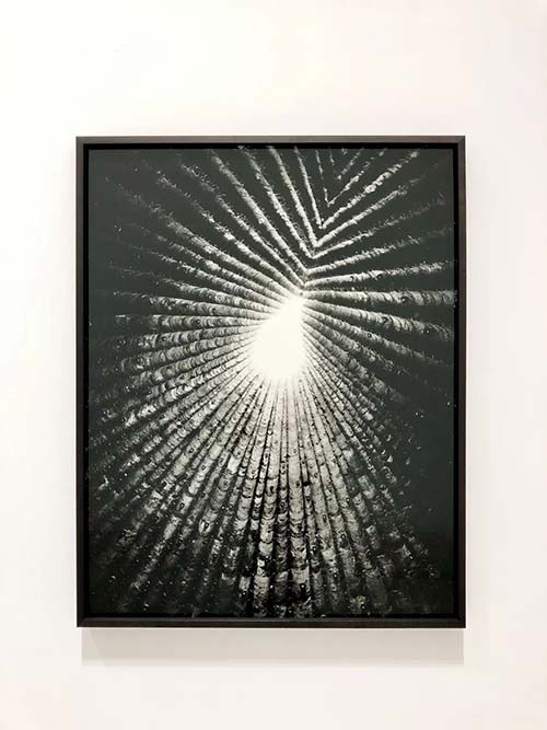 彼得·卒姆托，布魯?shù)恰た藙谒菇烫?，德國梅歇爾尼? 2009，數(shù)碼黑白銀鹽，80*102cm