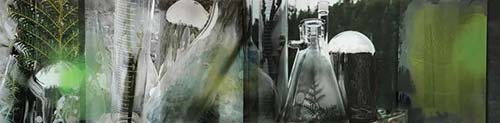 珍妮特·勞倫斯（Janet Laurence），Glass Installation