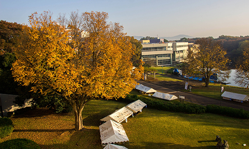 日本筑波大學