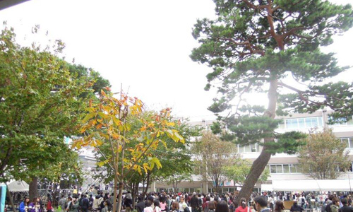 日本成城大學留學
