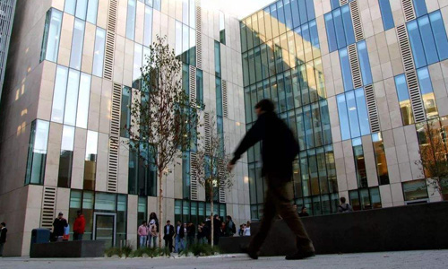 金斯頓大學