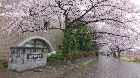 東京都立大學(xué)相當(dāng)于國內(nèi)什么學(xué)校？