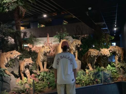 汪同學旅游-瑞士日內瓦自然歷史博物館