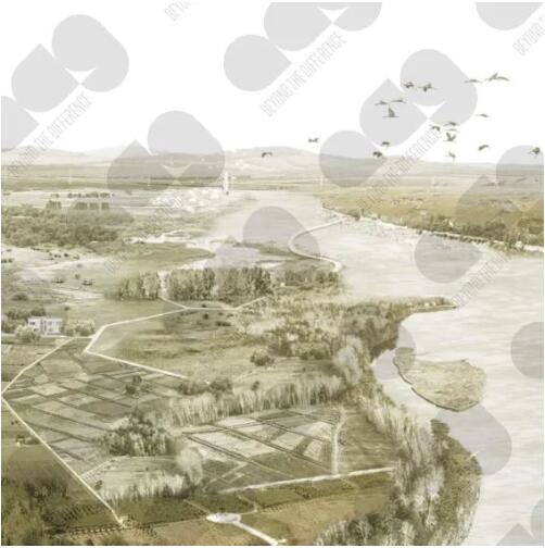L同學景觀建筑專業(yè)作品展示
